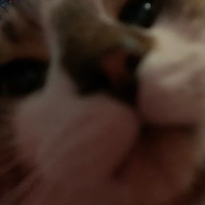 Meet your Posher, Jaime